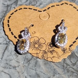 Elegant Silver and Gold Earrings